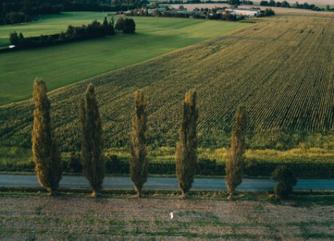 Špičkoví influenceři propagovali Vysočinu na Instagramu